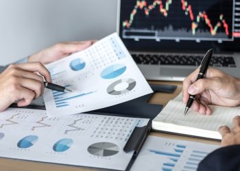 Economic update November 2025