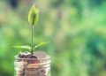 Investing for income